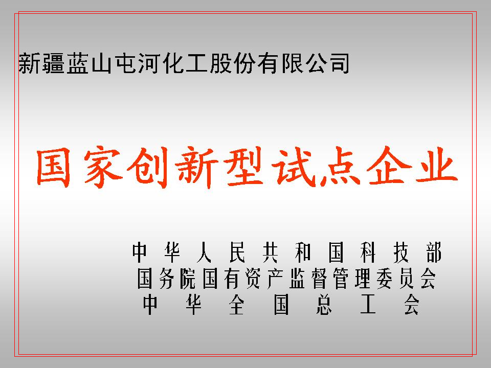 国度创新型试点企业