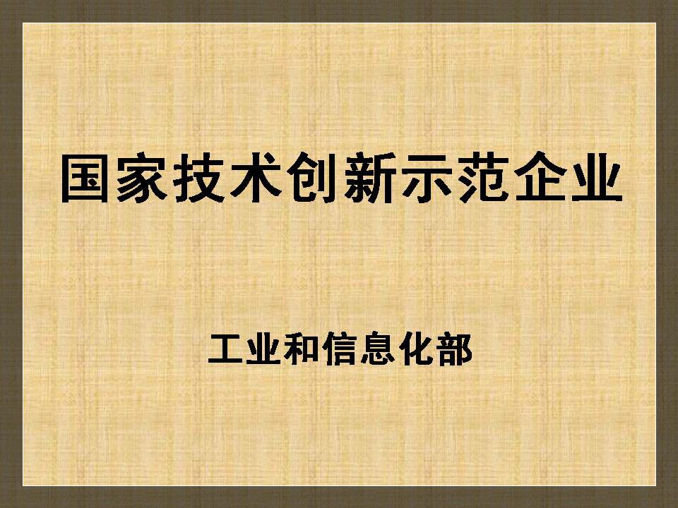 国度技术创新示范企业